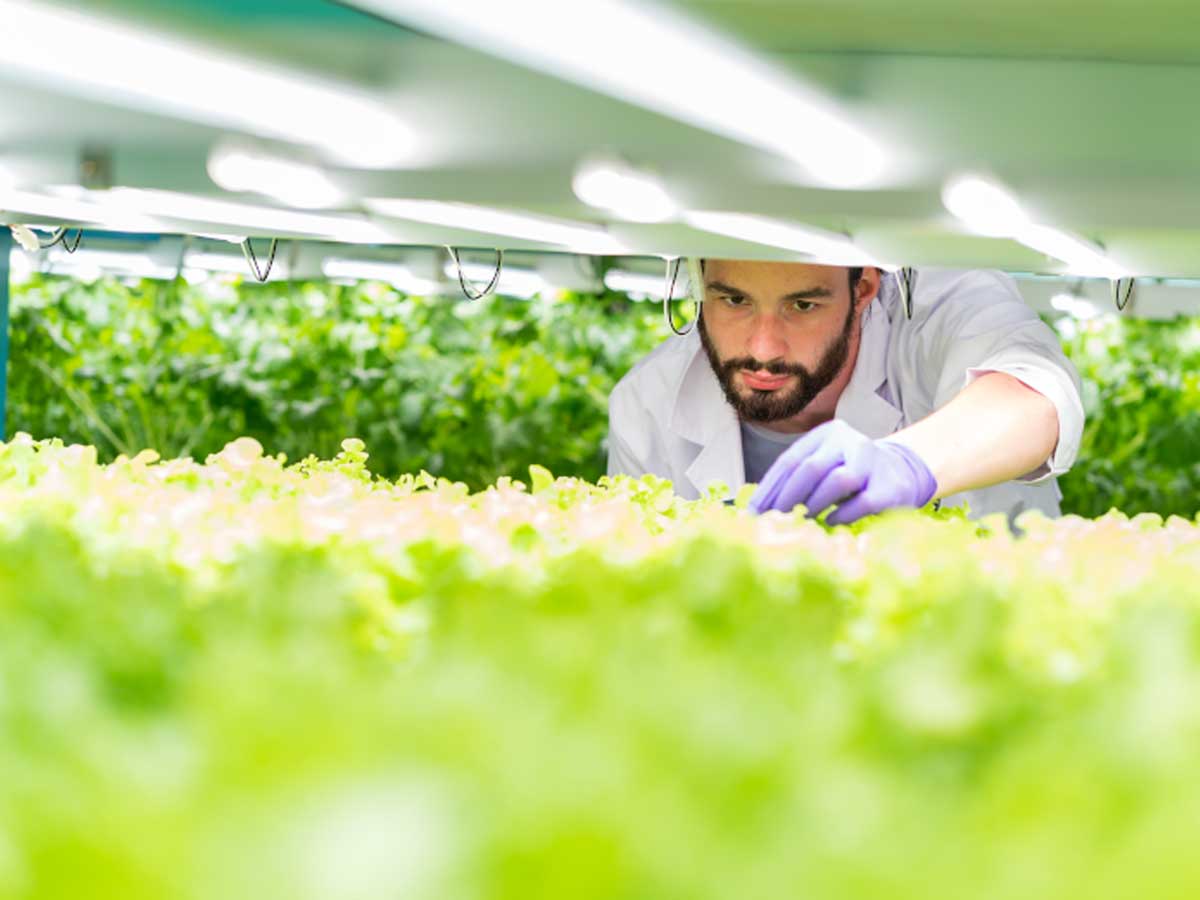 Condenser-fan-speed-controllers-for-EC-motors-thumbnail