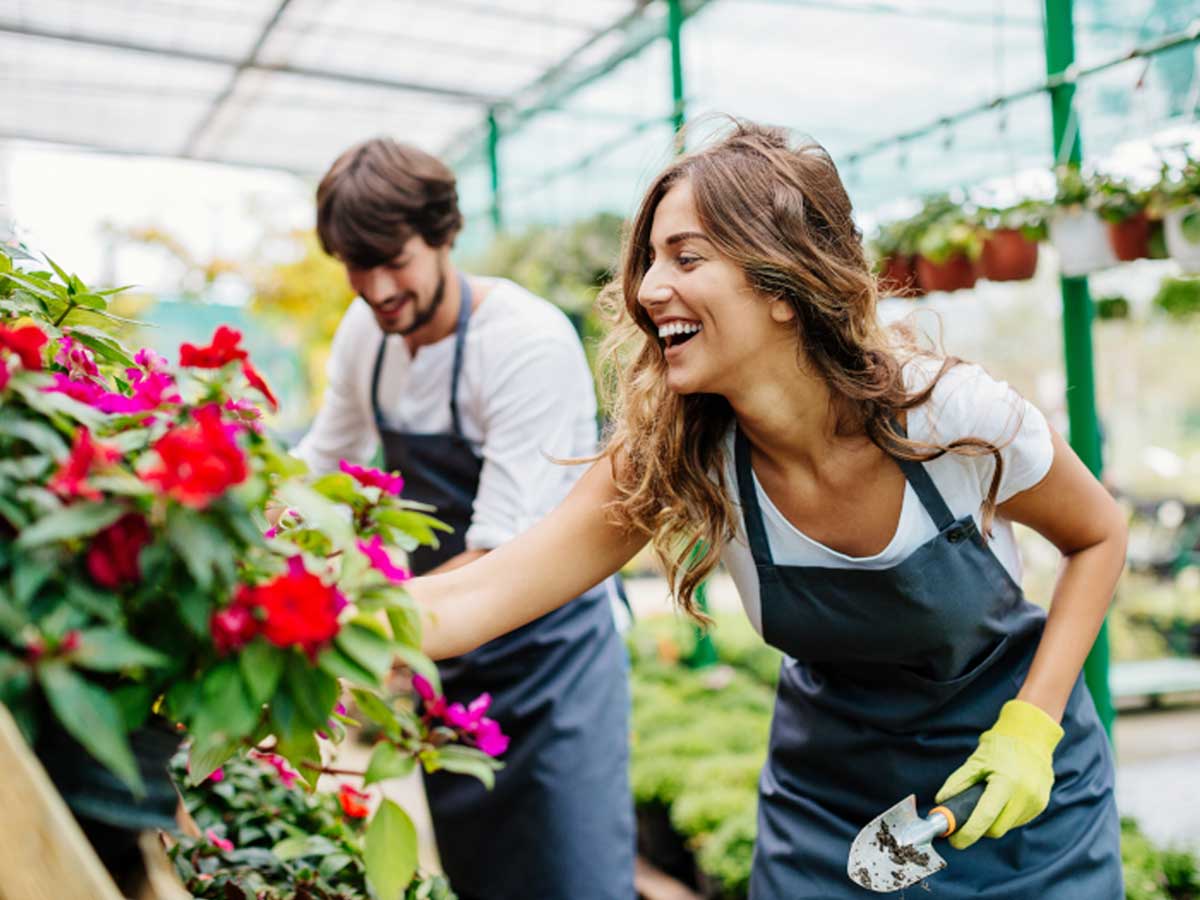 Mechanical-air-flow-switch