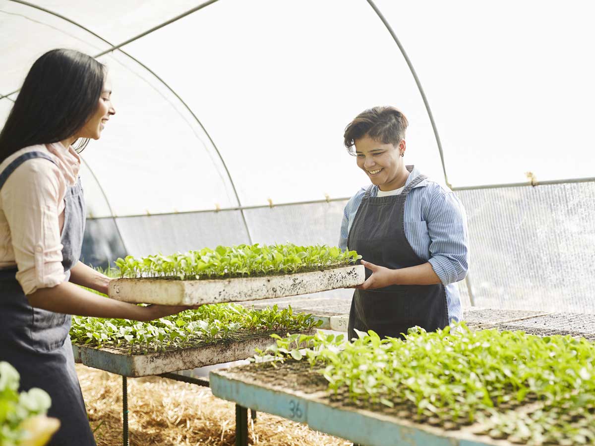 Mechanical-liquid-level-switch